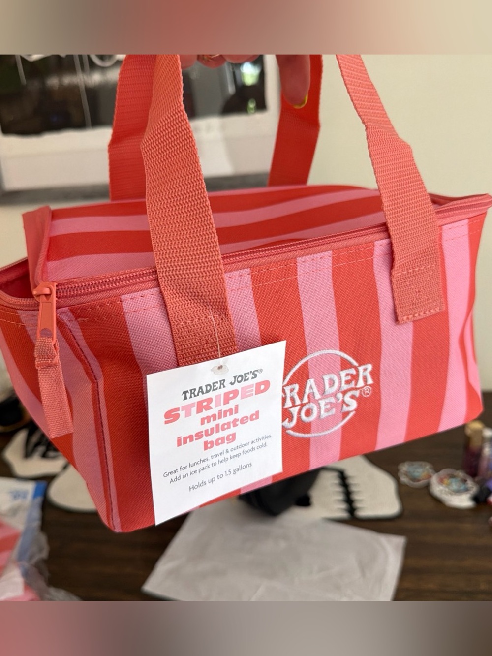 Trader Joe's Pink and Coral Striped Insulated Mini Tote